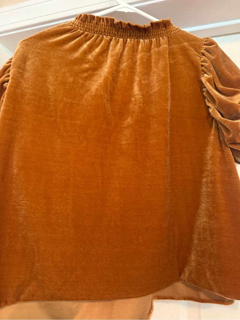 Free People Velvet Puff-Sleeve Peasant Top - Rust